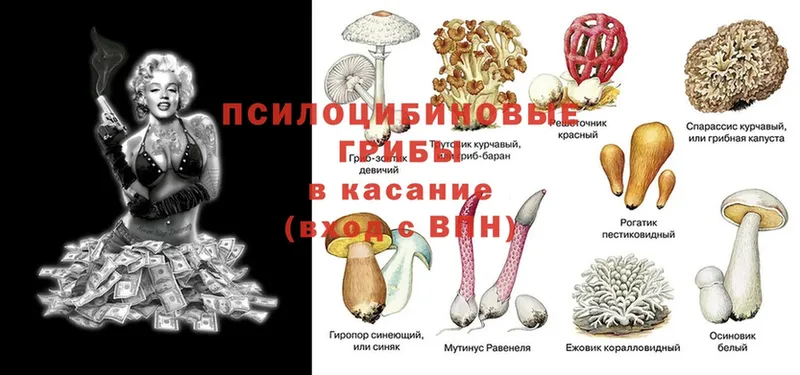 Галлюциногенные грибы мицелий  закладка  Крым 